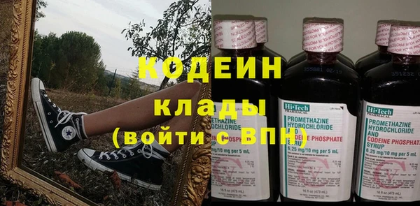 прущие грибы Переславль-Залесский