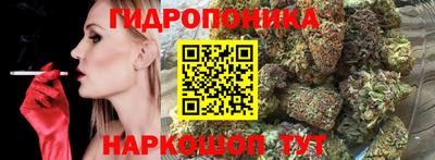 индика Комсомольск-на-Амуре