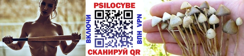 Галлюциногенные грибы Magic Shrooms  купить наркотик  Канаш 