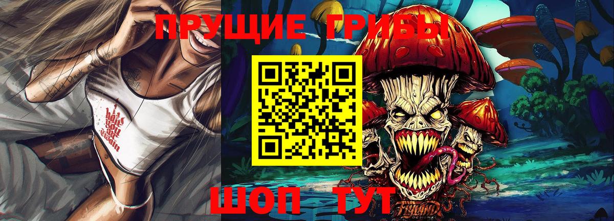Канаш  Псилоцибиновые грибы мицелий  купить наркотики сайты  Псилоцибиновые грибы Cubensis  Вход с VPN 