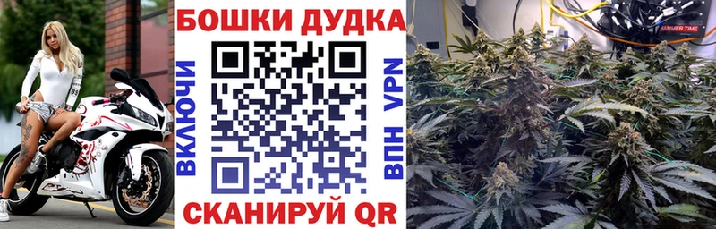 дарк нет формула Канаш Бошки марихуана индика гидра