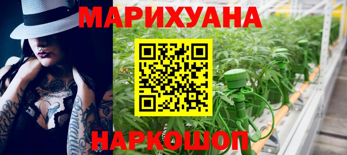 Конопля планчик  Шишки марихуана семена  Вход с VPN  Канаш 